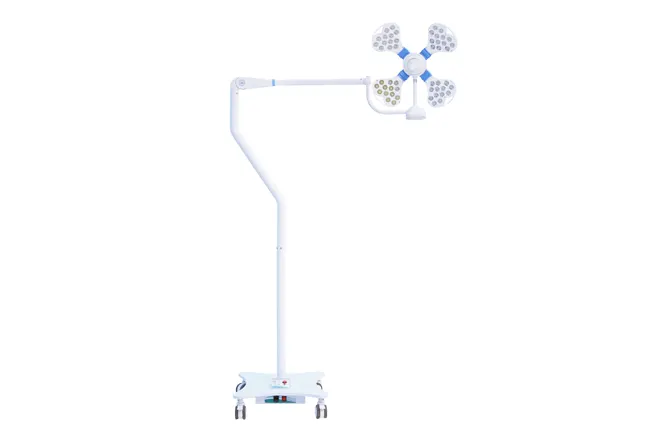 Aster- 4H (M)